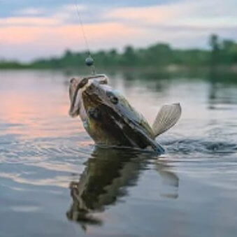 escape-reality-walleye-banner-01